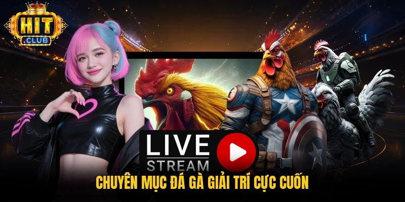 Chuyên mục đá gà giải trí cực cuốn 